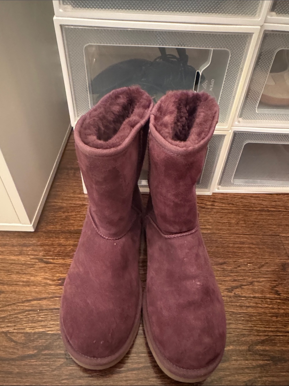 UGG Women's Suede Winter Boots in Plum